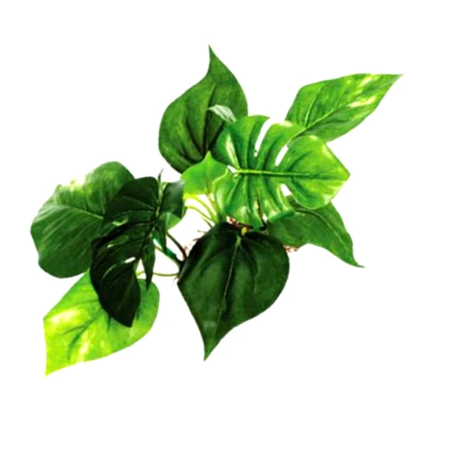 超 逼真仿真模型【橡膠青蛙三款任選】特價另有其它輻射龜豹龜紅腿印度星龜蘇卡達象龜赫曼歐洲陸龜四爪 歷史價格詳細信息