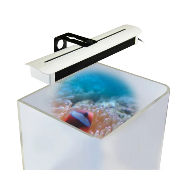 【中藍行】 改頭換面中夾燈 增艷紅燈 CS088-7 歷史價格詳細信息