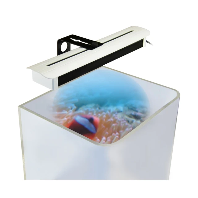 【中藍行】 改頭換面中夾燈 增艷紅燈 CS088-7 歷史價格詳細信息