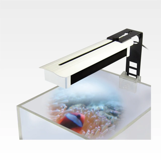 海水澳白藍血貴族巴洛克珍珠吊墜純銀萬能扣 -891 歷史價格詳細信息