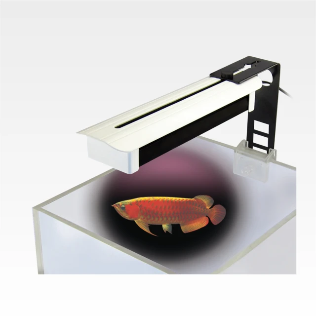 【中藍行】 CS087-7 改頭換面小夾燈 增艷紅燈 歷史價格詳細信息