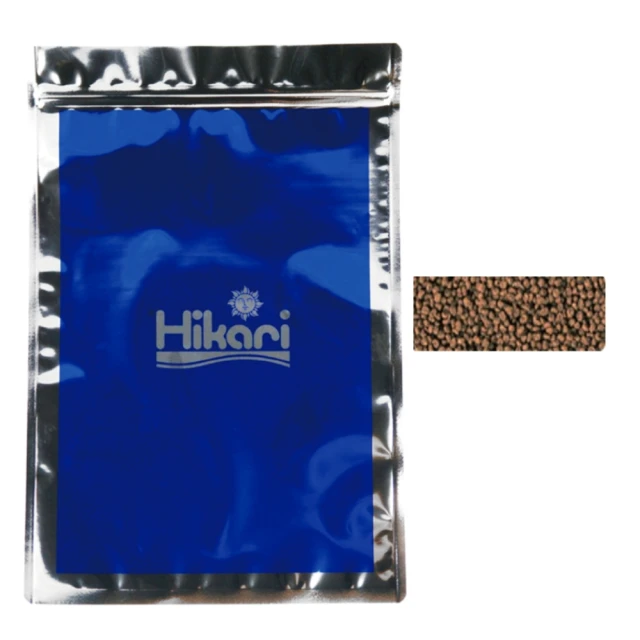 養隻寵物 恐龍 項鍊 暴龍 恐爪龍 劍龍 歷史價格詳細信息