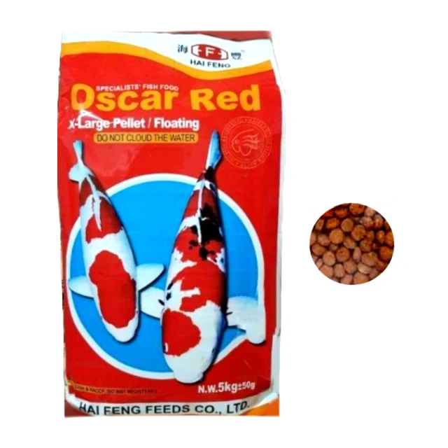 各種(大中型)端硯 歷史價格詳細信息