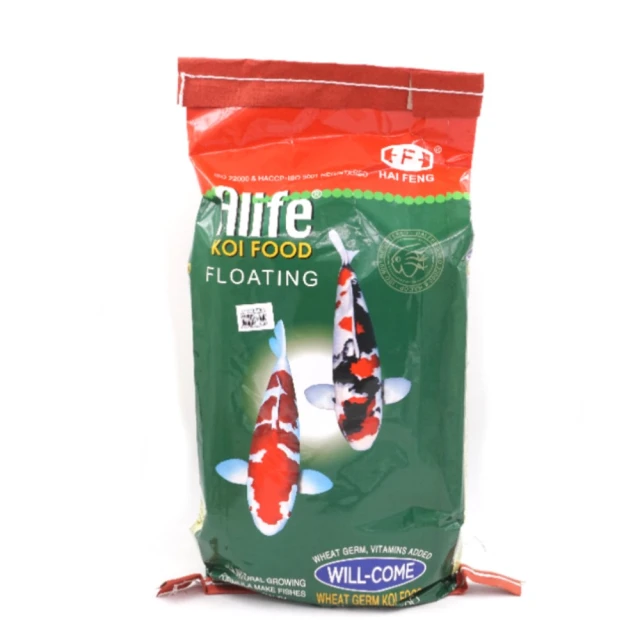 ALIFE Happy Flight系列行李束帶-綠 歷史價格詳細信息