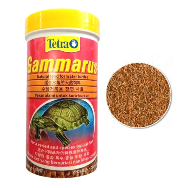 【彩蝦屋】藍眼大帆鬍子  異型魚 對魚 7-8公分 歷史價格詳細信息