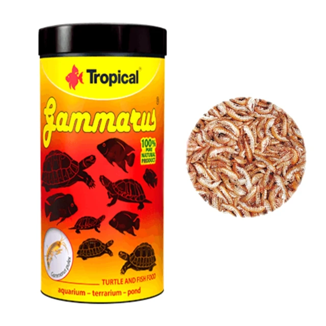 【Tropical 德比克】高蛋白烏龜成長主食飼料5000ml水龜澤龜5L桶裝新配方(高蛋白營養成分高) 歷史價格詳細信息