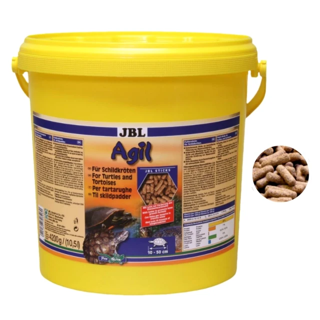 巴西木水養幸運木開花格魯特小樹人四季綠植室內桌面盆栽水培植物 歷史價格詳細信息