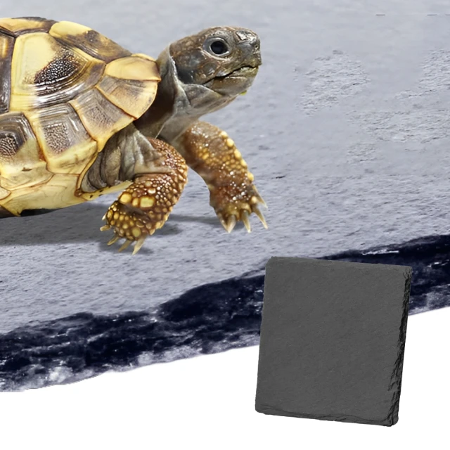 爬寵水族➽  USB 【 迷你 外掛過濾器 】 可調水量 魚缸過濾器 外掛 過濾 水族 過濾器 小魚缸過濾 掛式過濾 歷史價格詳細信息