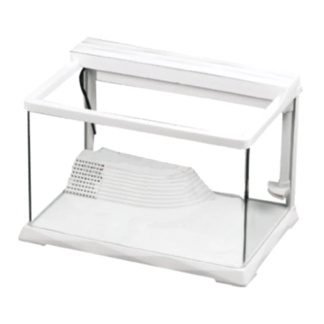 【水族先生】小型缸外掛用奈米雙氧培菌球 淡海適用 歷史價格詳細信息