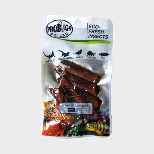 鮮食堂 國寶名廚蒜蓉粉絲煲4/6/9包(250g/固形物175g/包)日常美味 色香味俱全 廠商直送 歷史價格詳細信息