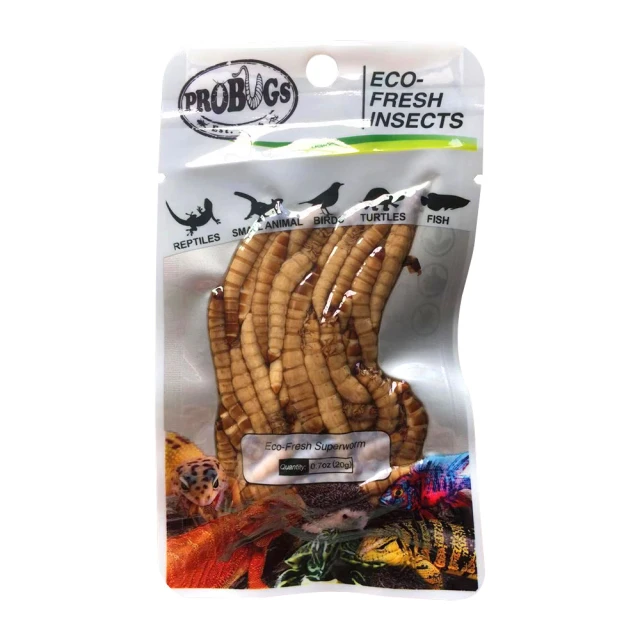 鮮食堂 國寶名廚蒜蓉粉絲煲4/6/9包(250g/固形物175g/包)日常美味 色香味俱全 廠商直送 歷史價格詳細信息