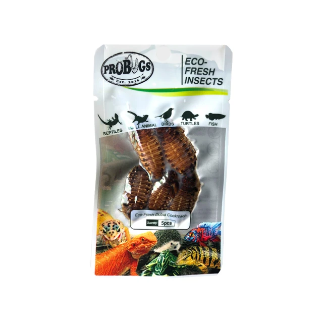 鮮食堂 國寶名廚蒜蓉粉絲煲4/6/9包(250g/固形物175g/包)日常美味 色香味俱全 廠商直送 歷史價格詳細信息
