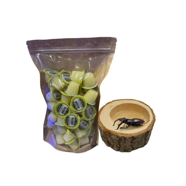 【Petvibe寵趣生活】原木風把手豪華鼠籠(倉鼠籠/鼠籠/倉鼠整理箱/寵物鼠籠/倉鼠鼠籠/壓克力鼠籠/倉鼠窩) 歷史價格詳細信息