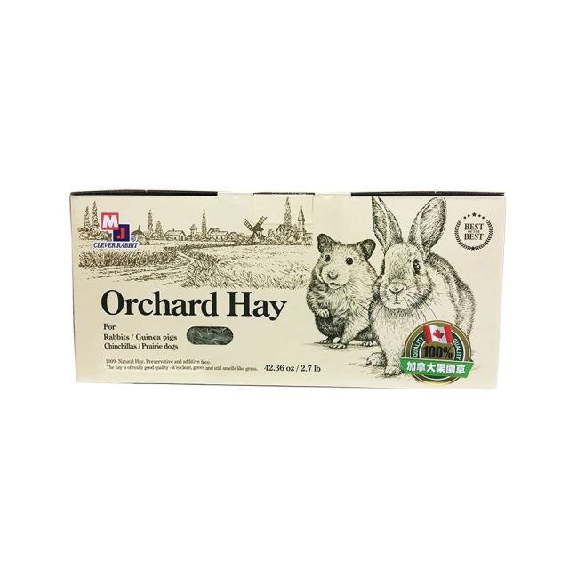 (2盒)Clever聰明濾杯(L)+專用濾紙(L)型號C-70777-CCD#4大容量500ml_1入/盒 歷史價格詳細信息