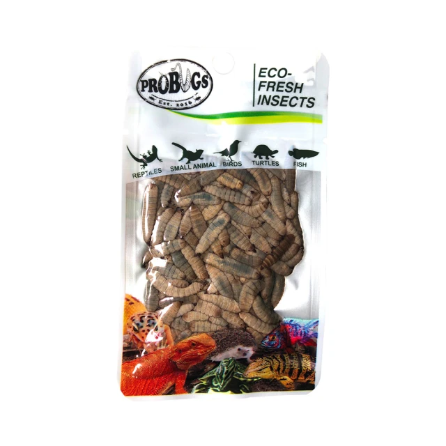 鮮食堂 國寶名廚蒜蓉粉絲煲4/6/9包(250g/固形物175g/包)日常美味 色香味俱全 廠商直送 歷史價格詳細信息