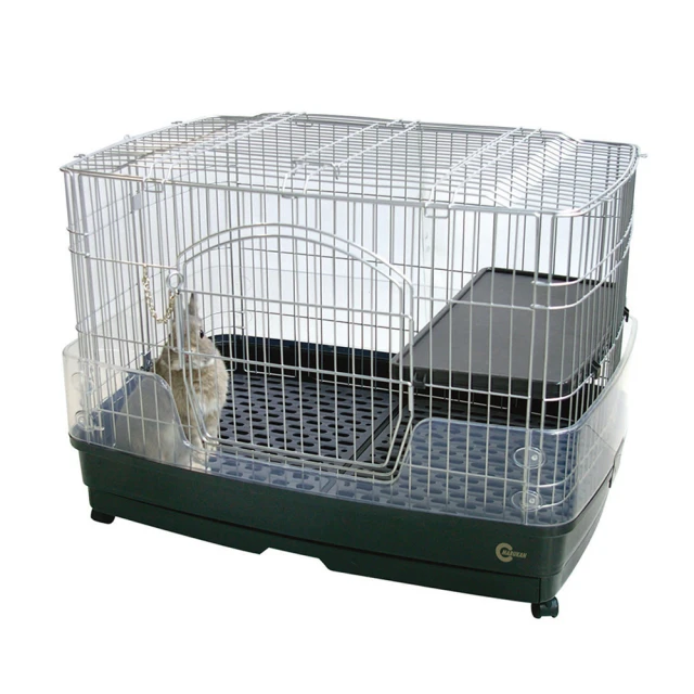 【Marukan】日式玩色甲蟲盒 Medium(日本製造 甲蟲 鍬型蟲 獨角仙 昆蟲 小動物) 歷史價格詳細信息