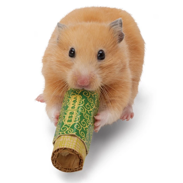 SUDO 藍莓優格/草莓 威化餅乾 歷史價格詳細信息