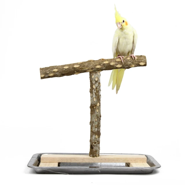 鸚鵡站架 玄鳳虎皮鸚鵡桌面互動訓練架站桿新款實木寵物用品棲棍籠子 源治良品 歷史價格詳細信息