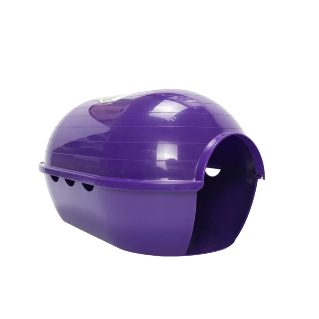 鼠兔類囓齒磨牙潔牙木棒_2105 歷史價格詳細信息