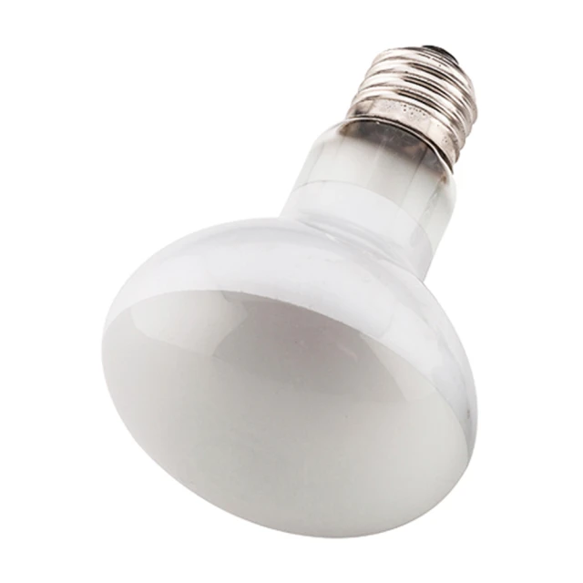 【OTTO 奧圖】燈魚孔雀專用飼料200g(500ml) 歷史價格詳細信息