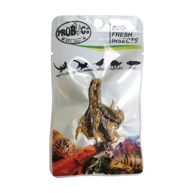 @@☆蠍蠍傳說☆最新款Gymboree Dog Brief Seven-Pack 男生狗狗七件組星期內褲(3-6t) 歷史價格詳細信息