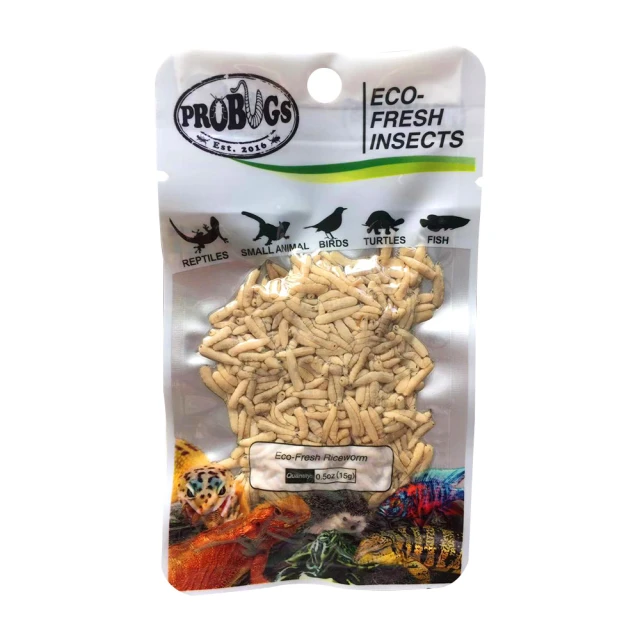 鮮食堂 國寶名廚蒜蓉粉絲煲4/6/9包(250g/固形物175g/包)日常美味 色香味俱全 廠商直送 歷史價格詳細信息
