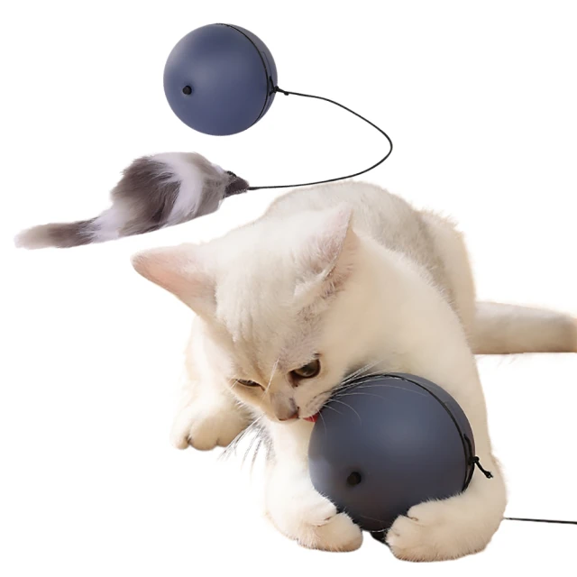 寵物玩具電動逗球不倒翁滾滾球釣竿羽毛逗棒自動自嗨咪玩具 歷史價格詳細信息