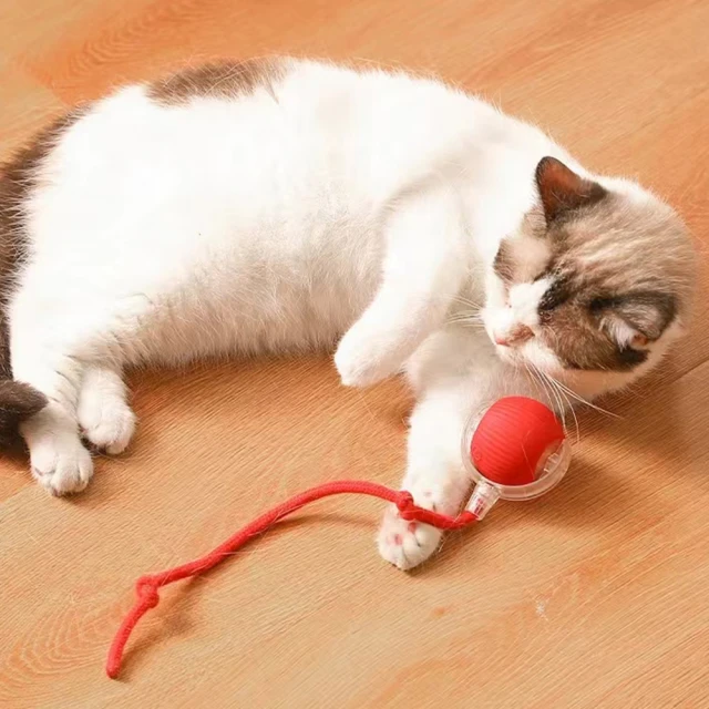 電動玩具智能逗球自嗨解悶自動尋路滾滾球逗棒寵物咪用品 歷史價格詳細信息