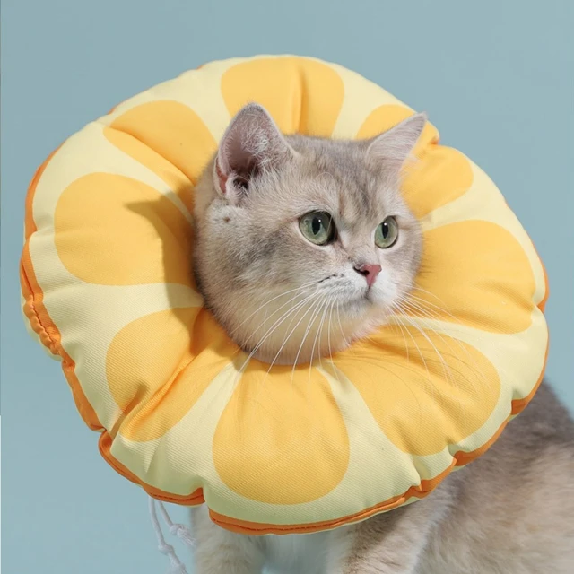 【MY PET】寵物三層斜坡樓梯(貓狗三階可拆洗階梯) 歷史價格詳細信息