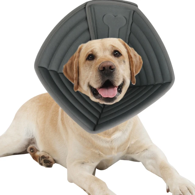 愛寵必購 AFP 犬用玩具-清涼系列 寵物玩具 狗狗玩具 寵物運動 寵物遊玩 鯊魚 海龜 章魚 玩具 歷史價格詳細信息