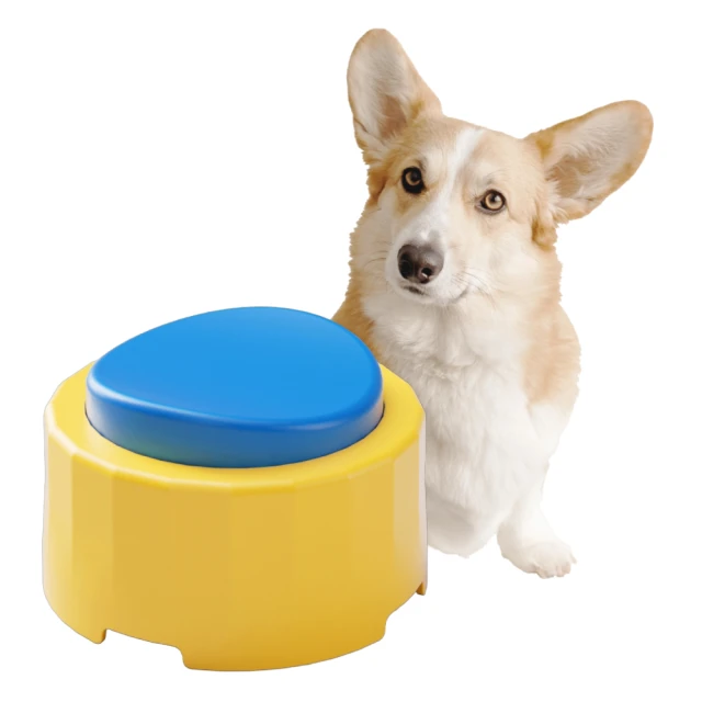 寵物玩具 發聲按鈴 可錄音 叫餐響鈴 寵物按鈴 訓練器 貓狗玩具 按鈴器訓練 貓咪狗狗用品 卡通玩具 歷史價格詳細信息