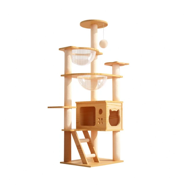 貓咪占星指南：一次搞懂貓咪星座宮位、上升與月亮，用占星學找到與主子幸福共生的最佳方案【左西】 歷史價格詳細信息