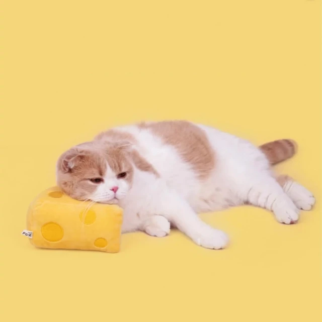 PurLab 芝芝奶酪 貓薄荷玩具 起司造型 造型玩具 貓咪玩具 貓咪 貓薄荷 起司 發聲玩具 擺拍利器 歷史價格詳細信息