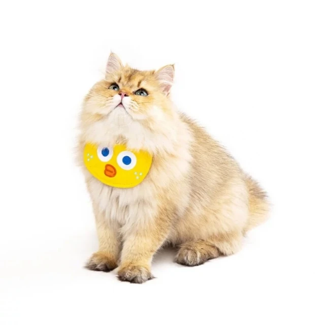 pidan 狗狗貓咪專用濕紙巾 80抽3包入 歷史價格詳細信息