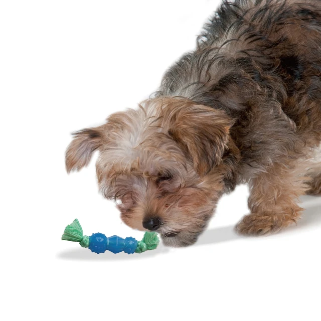 【Petstages】歐卡健齒環(潔牙 耐咬 防水 狗玩具 寵物玩具 狗 玩具) 歷史價格詳細信息