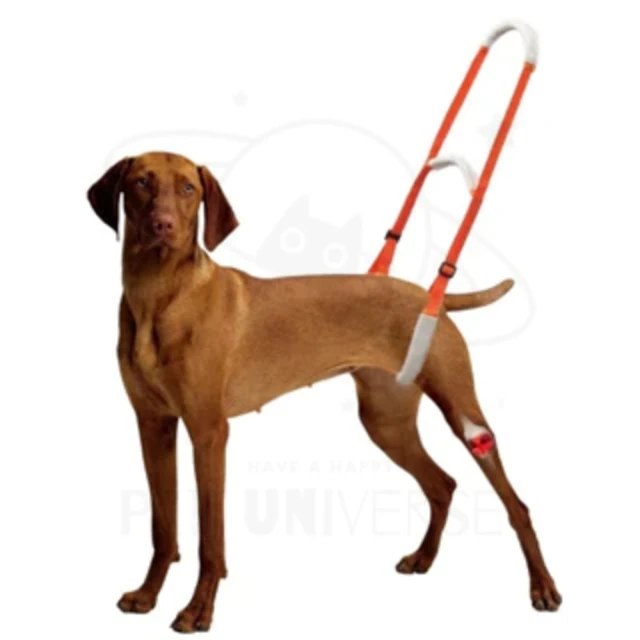 老後行為說明書：解讀父母最需要你了解的16種行為，讓相處和照顧更順利【城邦讀書花園】 歷史價格詳細信息