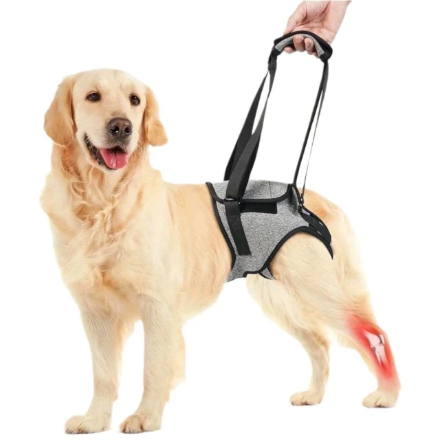 老後行為說明書：解讀父母最需要你了解的16種行為，讓相處和照顧更順利【城邦讀書花園】 歷史價格詳細信息