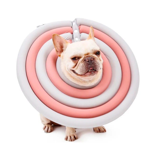 【ALucky 愛樂奇】吸盤式自動鎖車用支架(車用支架 手機支架) 歷史價格詳細信息