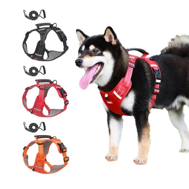 狗狗牽引繩5M自動可伸縮一鍵制動防掙脫泰迪柯基中小型寵物遛狗繩 歷史價格詳細信息