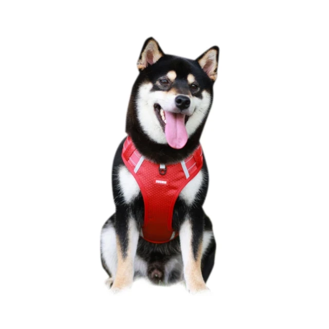 【寵物貴族】超吸水寵物隔尿墊 保潔墊 尿布墊(大M號) 歷史價格詳細信息