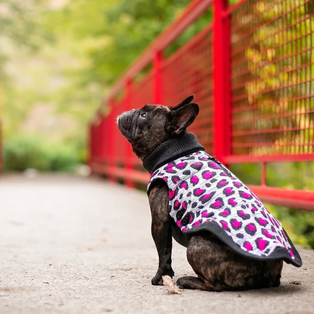 【NORTHERN 北方】16吋碳晶電暖器(NR16800S) 歷史價格詳細信息