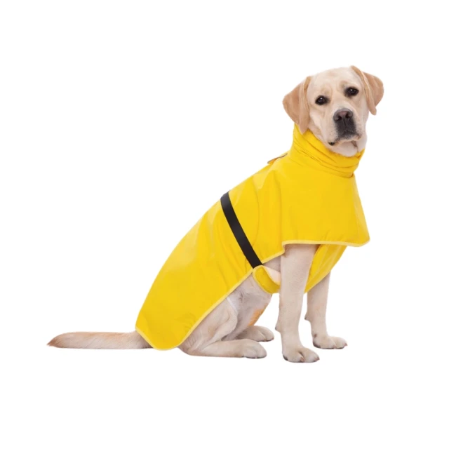 【Petvibe】全自動速開雙門3-4人拋帳1入(速開帳篷/秒開帳/沙灘帳篷/自動帳篷/速開帳篷/野餐帳篷/簡易帳) 歷史價格詳細信息