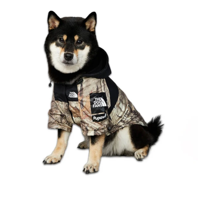 寵物用品，寵物衣服平放約20公分腰圍40公分，長度45公分，黑白相間條紋，造型可愛，2017哈沃寵物服飾新時尚 歷史價格詳細信息