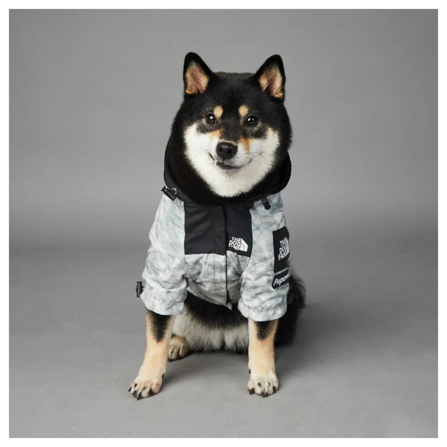 寵物用品徠本貓咪涼席夏季狗狗冰墊窩夏天寵物降溫涼墊睡覺用貓窩墊子睡墊 歷史價格詳細信息