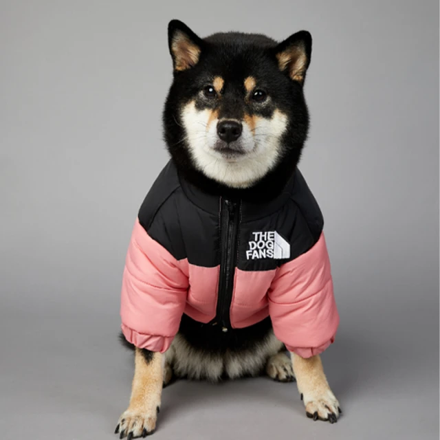 寵物用品徠本貓咪涼席夏季狗狗冰墊窩夏天寵物降溫涼墊睡覺用貓窩墊子睡墊 歷史價格詳細信息