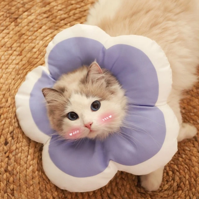 【MY PET】寵物三層斜坡樓梯(貓狗三階可拆洗階梯) 歷史價格詳細信息