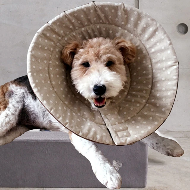 【MIMIO米米歐】只帶快樂．購物袋 文藝信件旅行-復古小鳥郵票(★花樣百出購物包★)台灣製造/日本製花布 歷史價格詳細信息