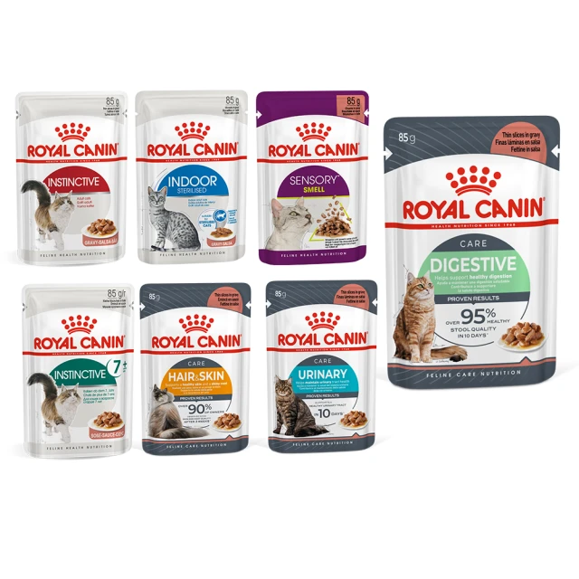 咪專用歐式寵物骨灰罐 密封防潮骨灰罈可愛爪 去世紀念骨灰盒 歷史價格詳細信息