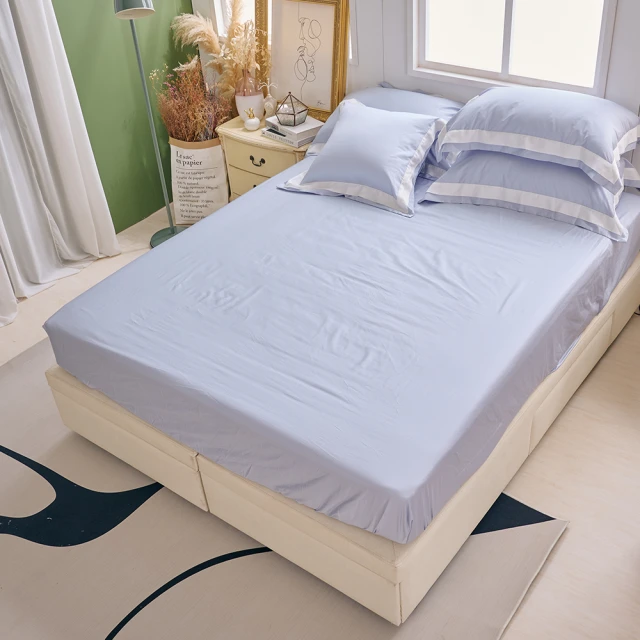 戀家小舖 棉被【天然水鳥羽絲絨被 / 兩色】輕盈保暖 台灣製 80%羽絨20%羽毛 單人/雙人/加大 歷史價格詳細信息