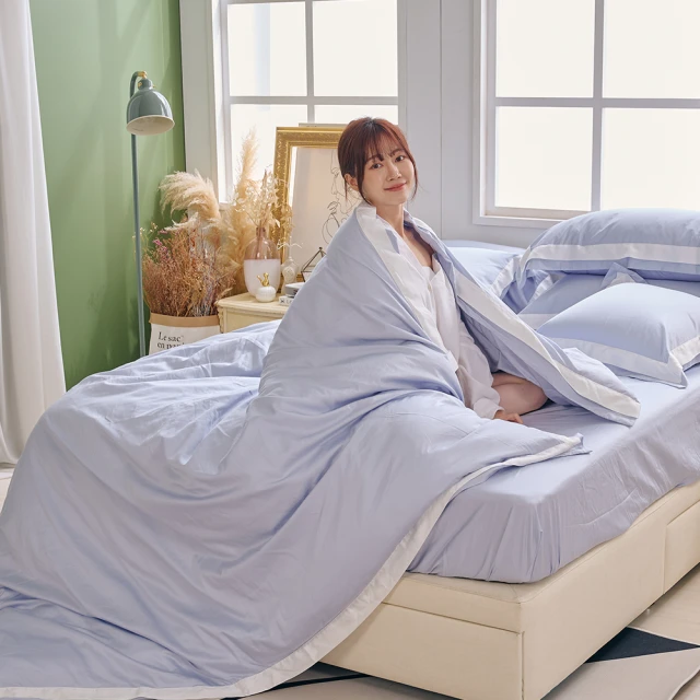 戀家小舖 棉被【天然水鳥羽絲絨被 / 兩色】輕盈保暖 台灣製 80%羽絨20%羽毛 單人/雙人/加大 歷史價格詳細信息